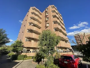 DORF GLORIAの画像