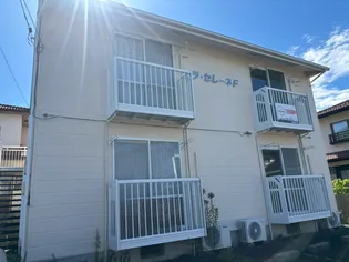 ラ・セレーネF【2階】の外観