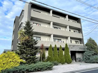 ヴェルソー山中通りの画像