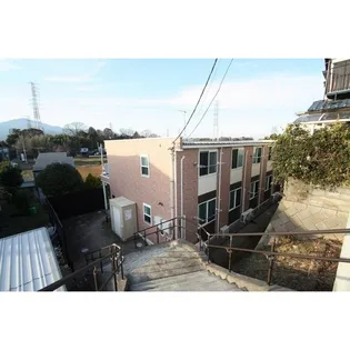 アイビーの画像