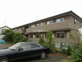 プラシードの画像