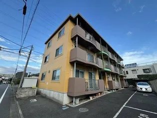 エミール有賀の画像