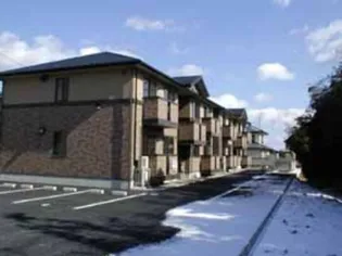 セジュールウィルモアマリの画像