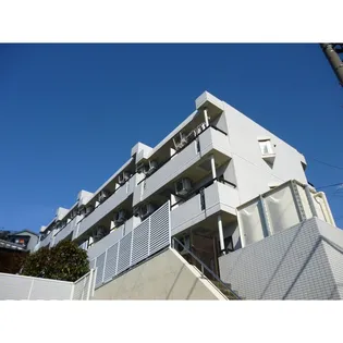 プロシード白楽の画像