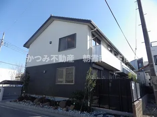 エイミーグレイスの画像