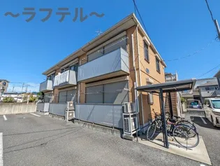 アネモスの画像