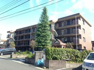 コーラルリーフの画像