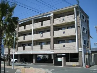 サンピーノの画像