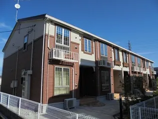 フェリスの画像