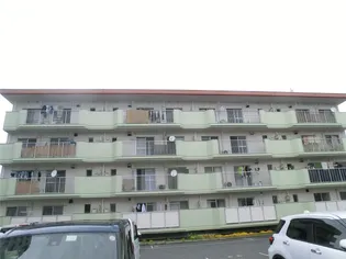 岡マンションB【3階】の外観