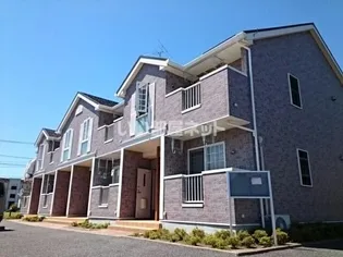 プラシードの画像