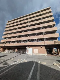 ロータスマーシュ元今泉の画像