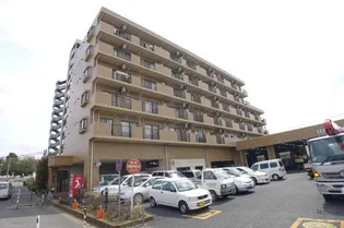 オアシスの画像