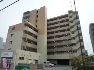 エヴァーグリーン新羽の画像