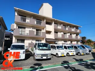 プラウドの画像