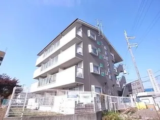 セイントの画像