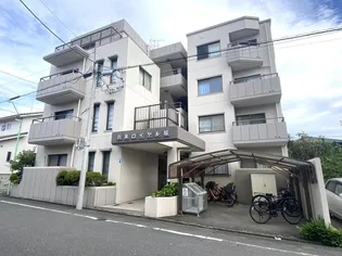 丸美ロイヤル桜の画像