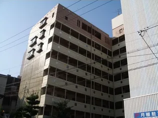 PIGEON VERTの画像