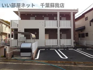 グランパームの画像