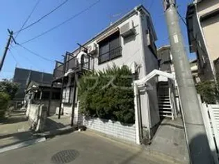 マメケイジュの画像