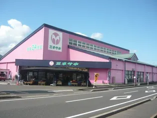 ポライトリーM・T【2階】の周辺