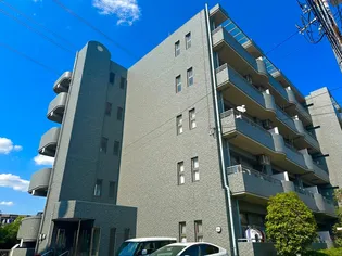 ルネス レヴールの画像