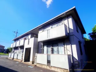 セルサスハイムの画像