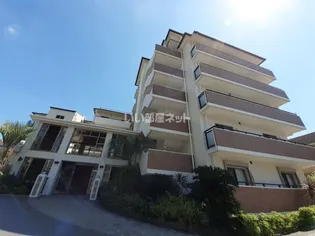 HALE LAULE'Aの画像