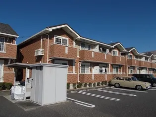 サン フィット1の画像