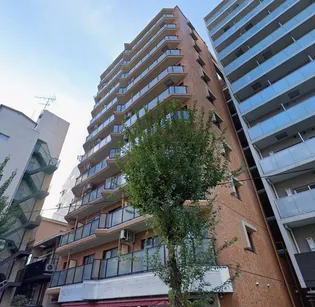 ライオンズマンション東池袋第弐【8階】の外観