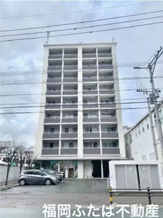 カーサ アミータの画像