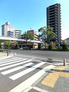 サンクレーア星ヶ丘【15階】の外観