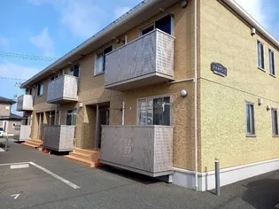 シャルマンIIの画像