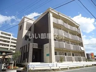 プラシード松崎の画像