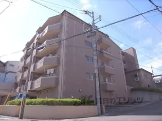 イースタン平野路の画像