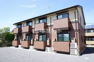 ヴェネレの画像