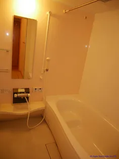 ルミエールB【1階】の風呂