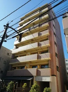 MS BLDG11【5階】の外観
