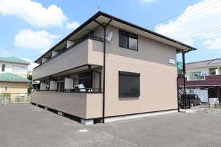 エレガントサカエの画像