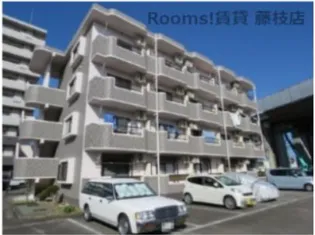 ルーナ ピエーナの画像