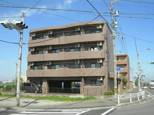 プラムワンの画像