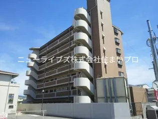 グレイシィフジの画像