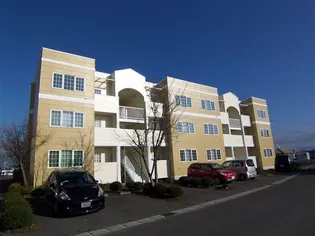 コート フィオーレBの画像