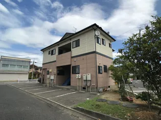 ピュアシャインの画像