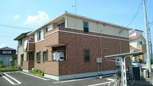 ノドル Jの画像