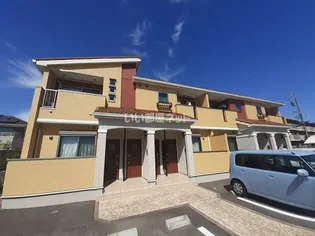 カモミールの画像