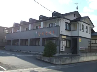 ひめさゆりの画像