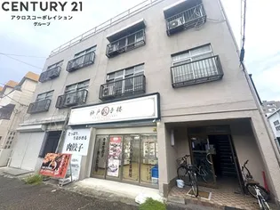 大箇ハイツ【3階】の外観