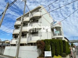 シャルムNの画像