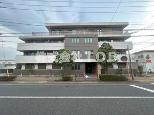 トゥインクル ヴィータの画像